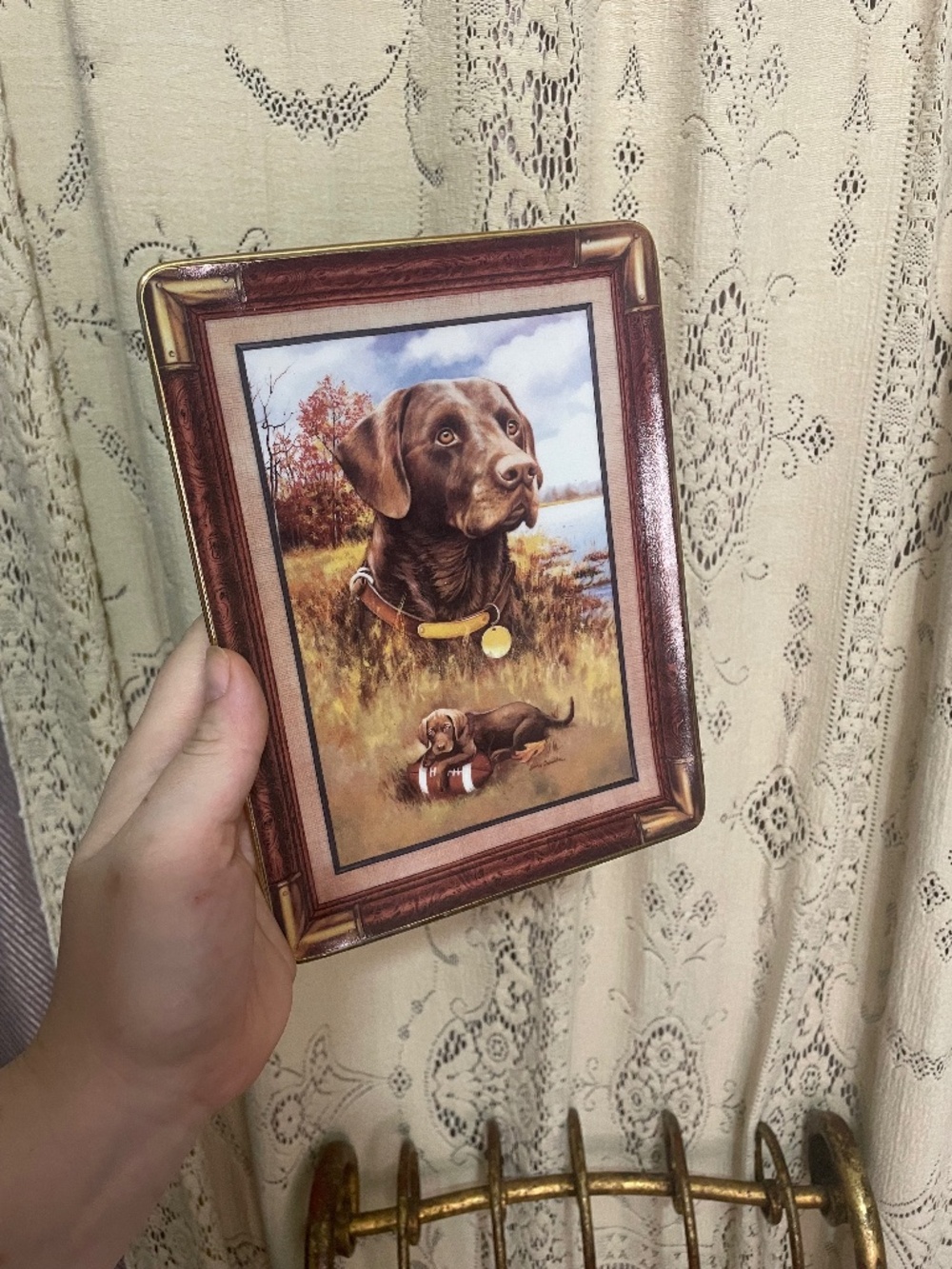 Franklin Mint: Porcelain collector plate "Canine Curiosity"